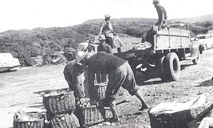  Gansbaai se Geskiedenis vir Nageslag Verlore